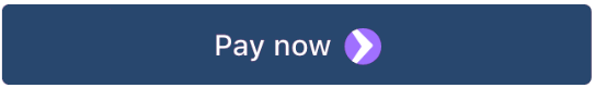stripe-pay-now
