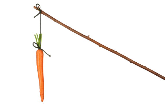 Carrot and stick reward and motivation