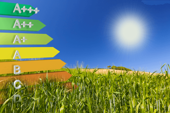 Concept of energy saving in sunny corn field summer environment