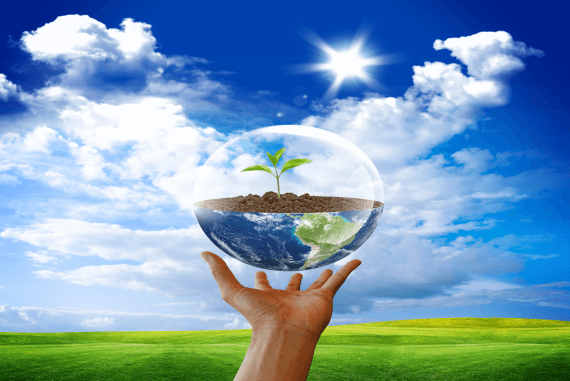 Earth and young plant in sphere concept