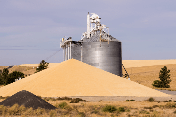 A large grain pile and storage silo